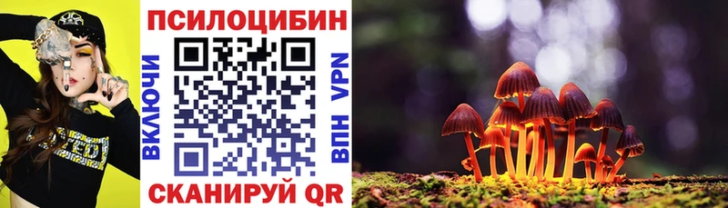 Купить  Псков  Галлюциногенные грибы мицелий 